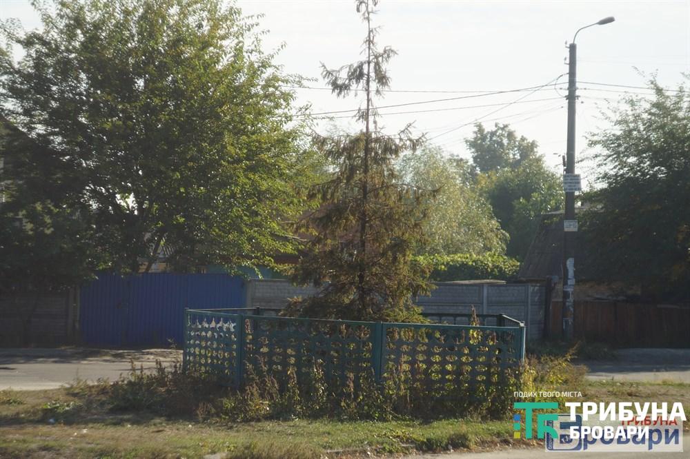 озеро (56)