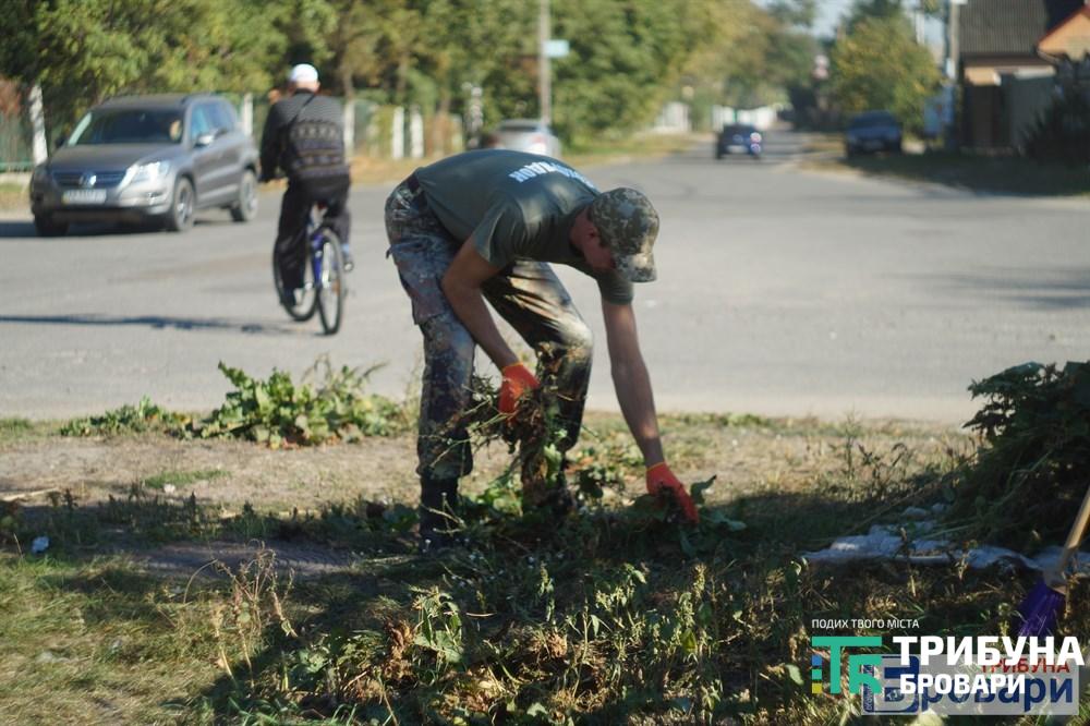 озеро (79)