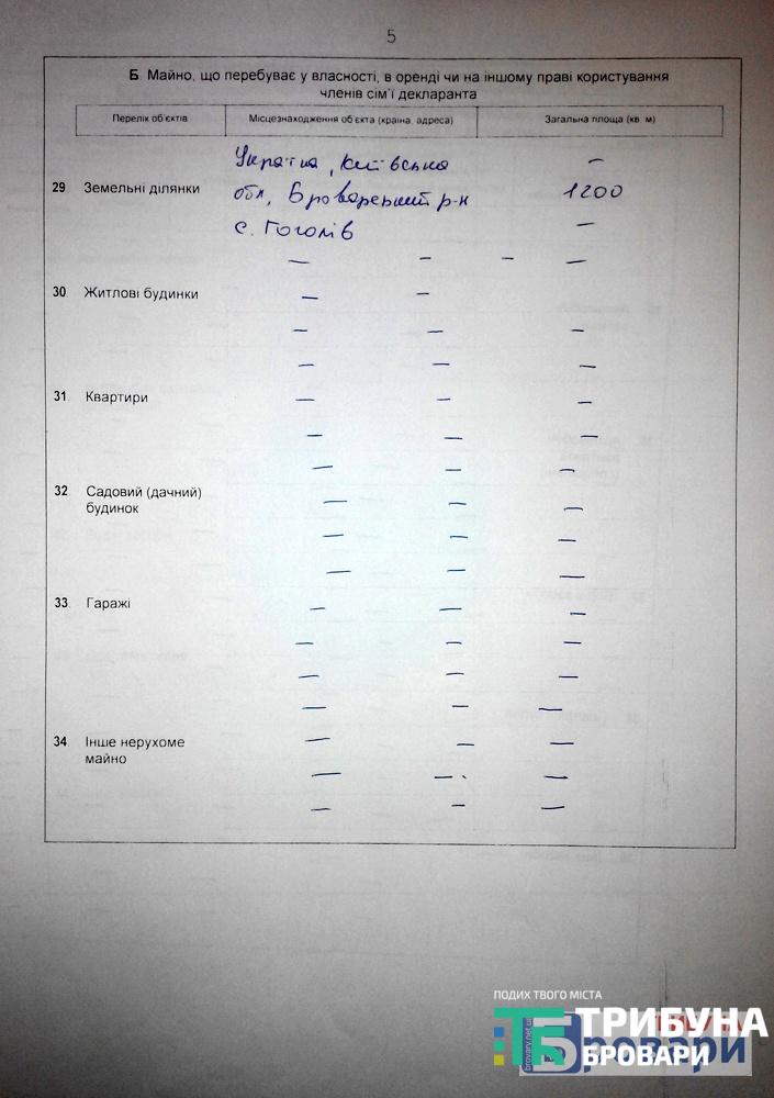 лемпіцький (6)