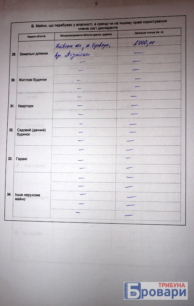 чаюн (6)