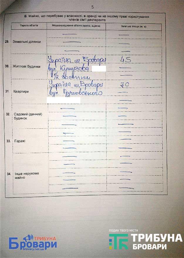 declaraciya_06