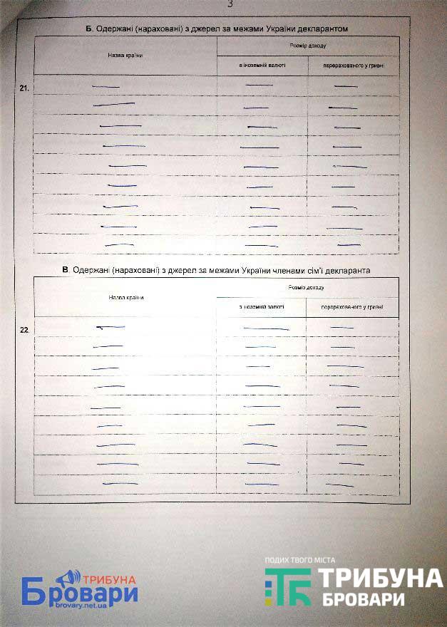 declaraciya_04