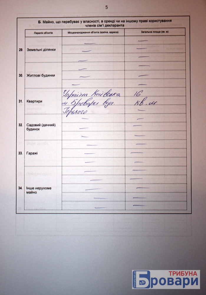 шевчук (6)