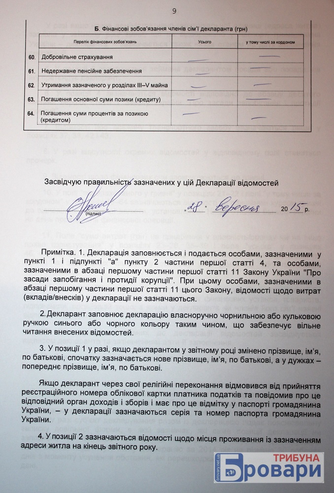 шевчук (10)