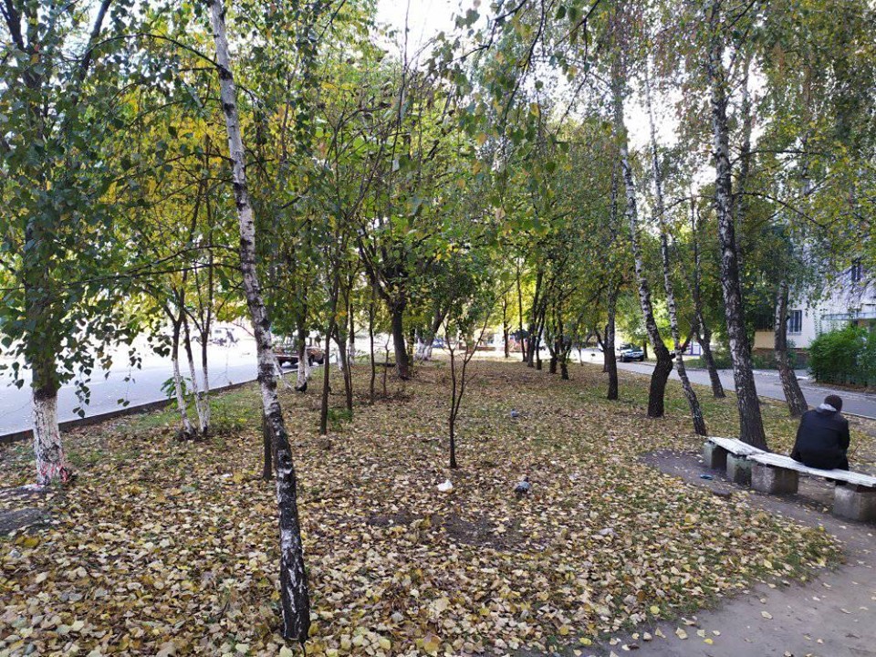 видалення дерев