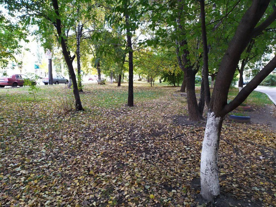 видалення дерев