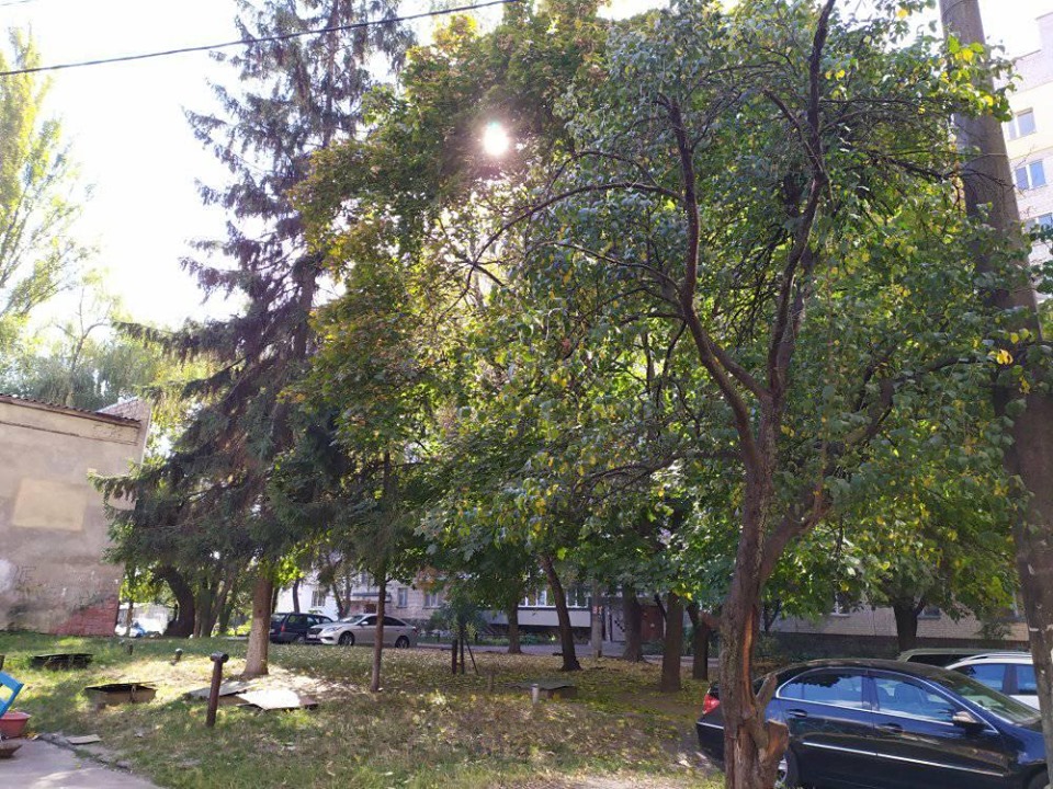 видалення дерев