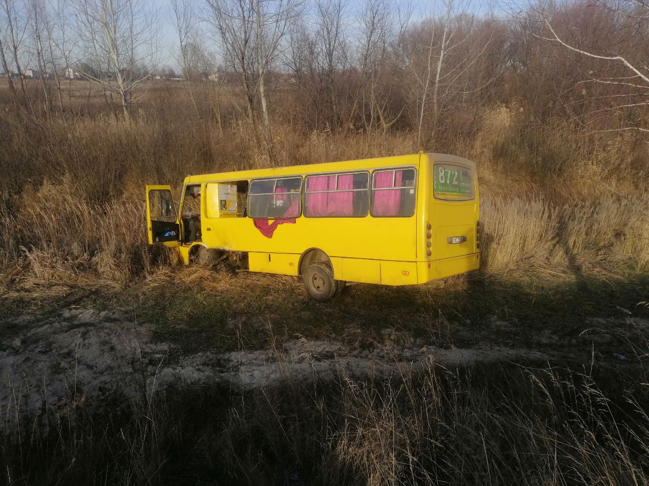 ДТП Гоголів