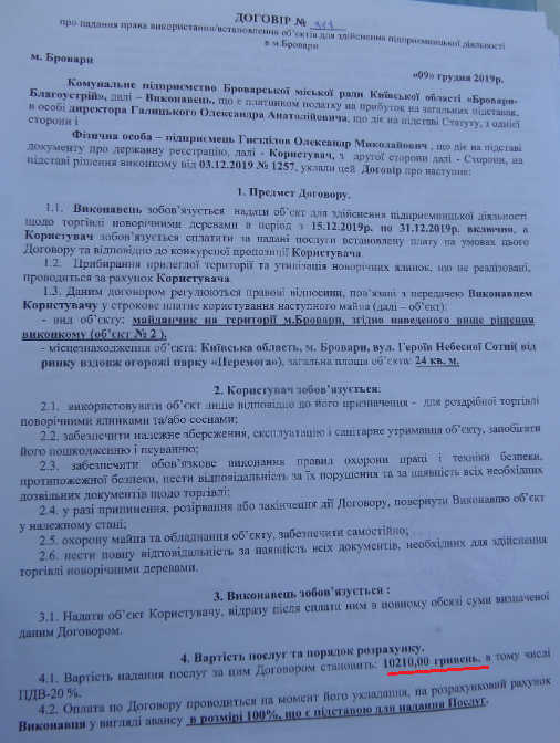 новорічні дерева