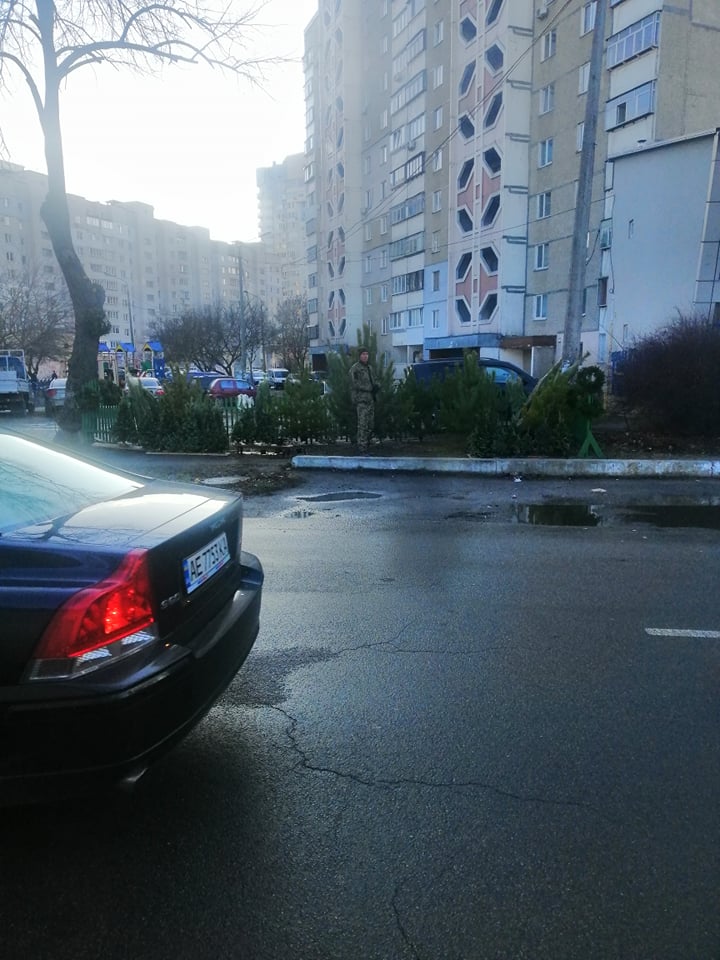 новорічні деревця