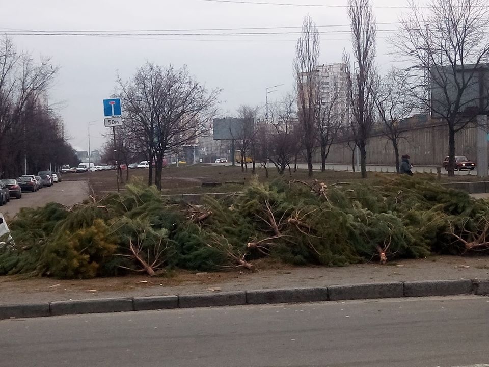 ялинки