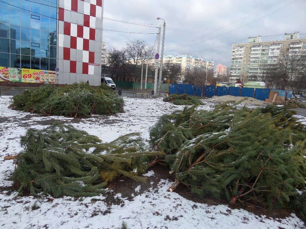 ялинки