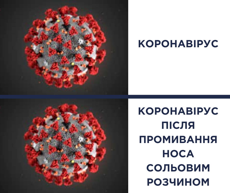 коронавірус