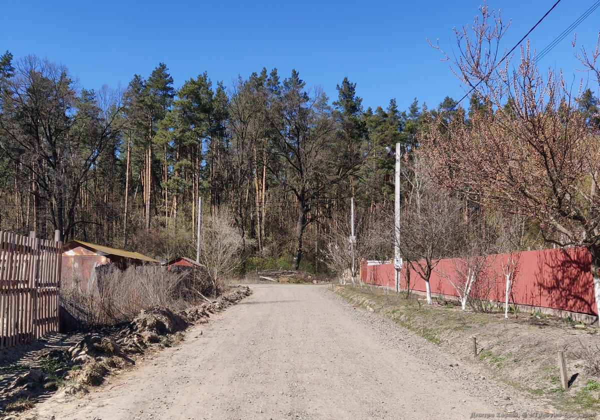 броварський ліс