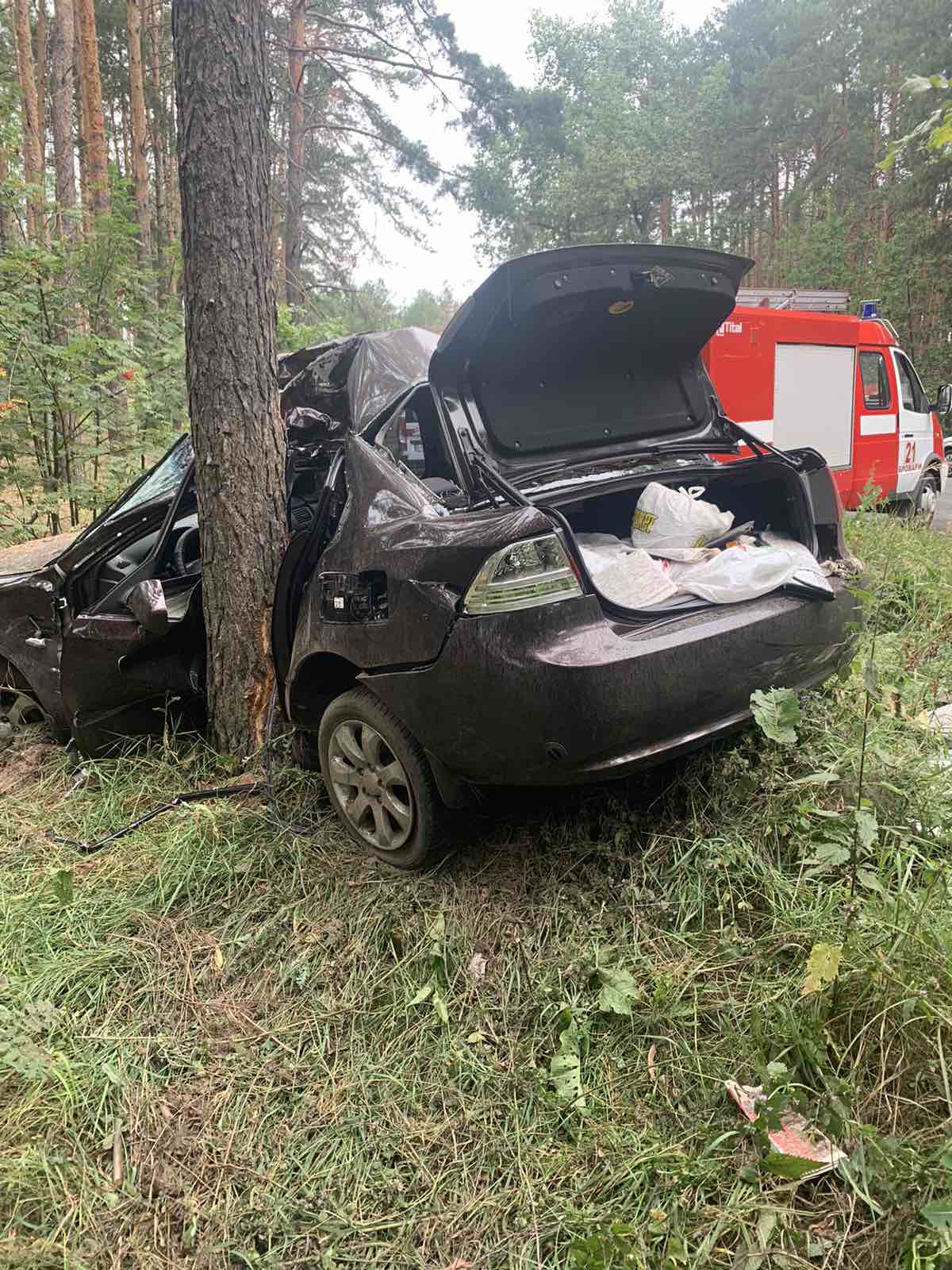 Урізався в дерево