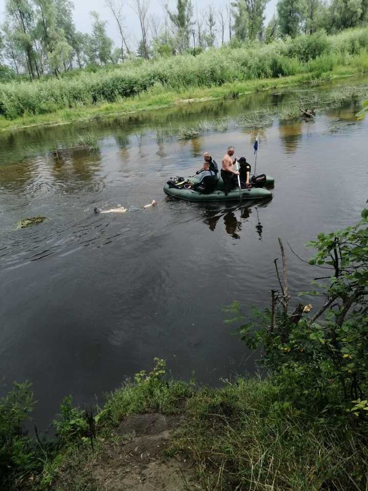 потопельник у Десні