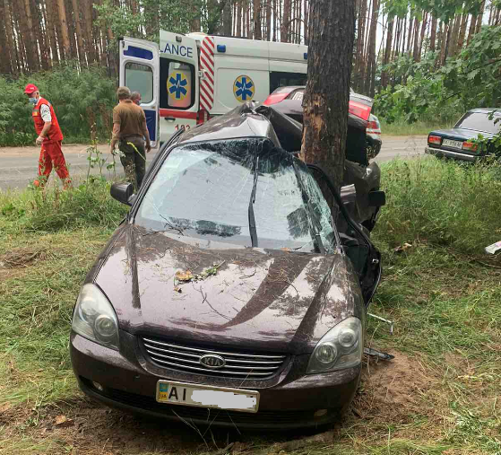 урізався в дерево