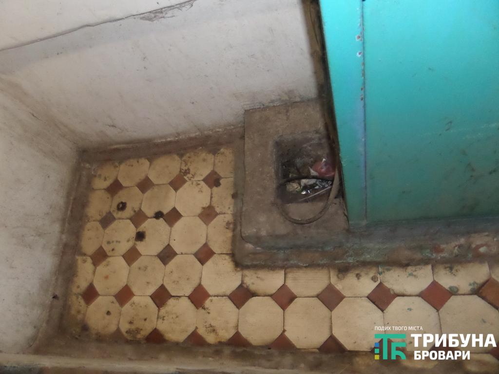 безпритульні тварини