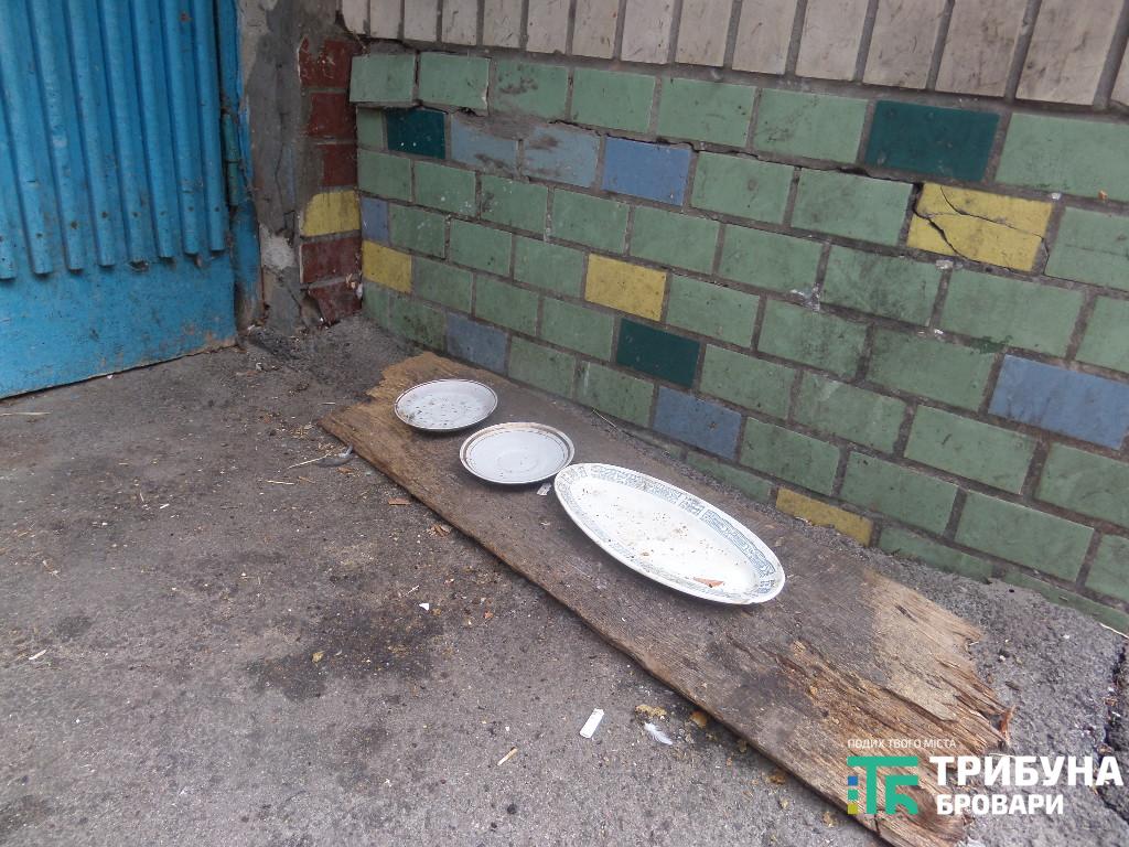 безпритульні тварини