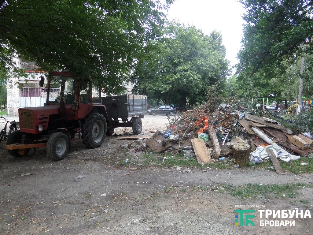 безпритульні тварини