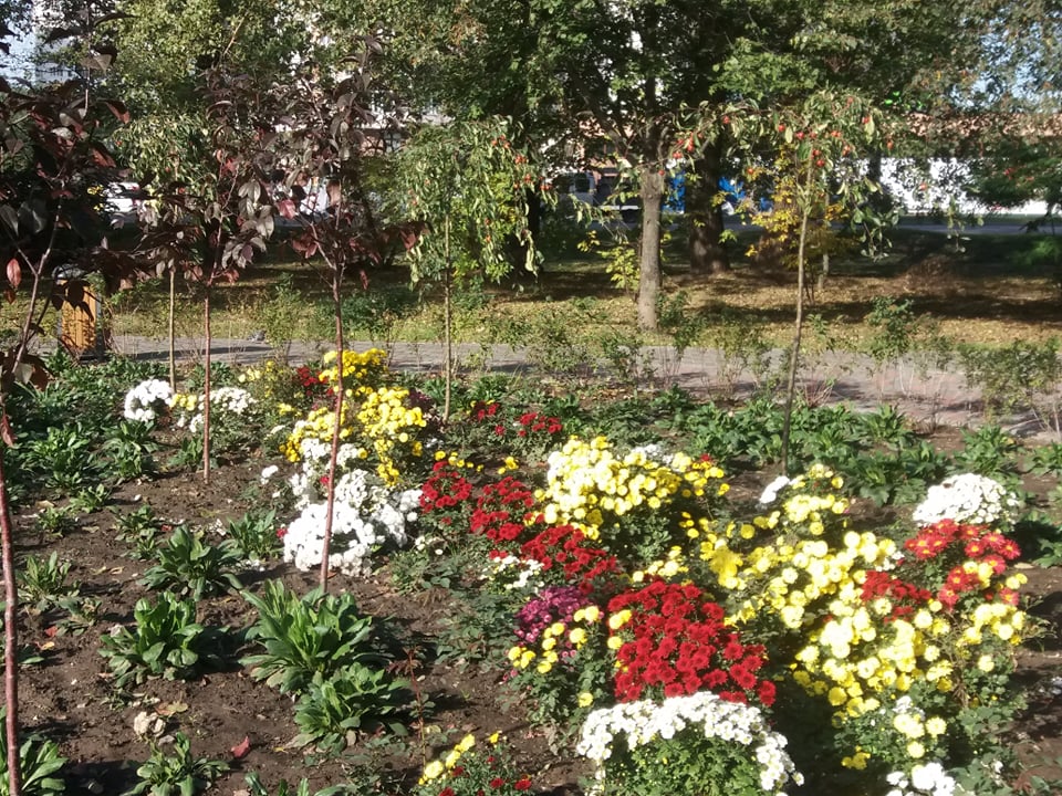 рекреаційна зона