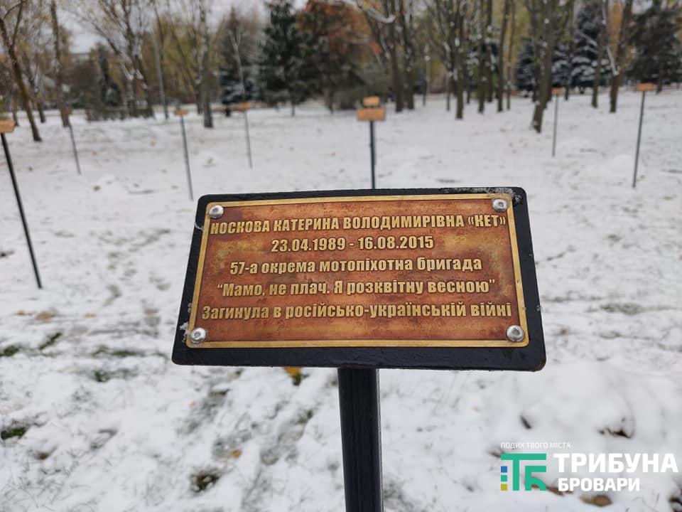 Алея пам&rsquo;яті загиблим жінкам у російсько-українській війні