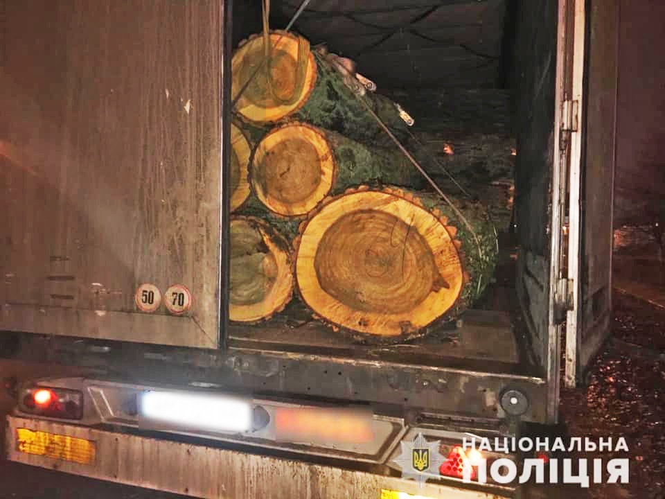Незаконна вирубка дерев у Требухові
